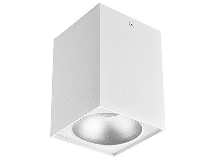 Plafonska spotna lampa kocka GU10 belo-srebrna IP20