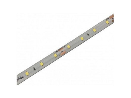 LED traka 12V 8W/m 6400K IP65 5m 145lm/W