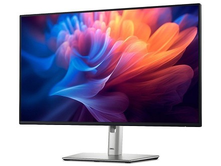 27 inch P2725HE 100Hz USB-C Professional IPS monitor
