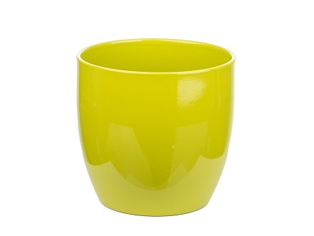 SK Saksija basel 13CM limeta