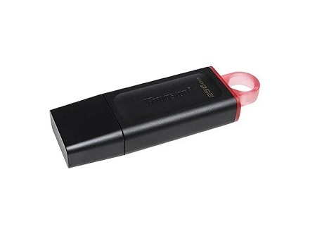 Kingston USB Flash memorija 256GB DTX/256GB