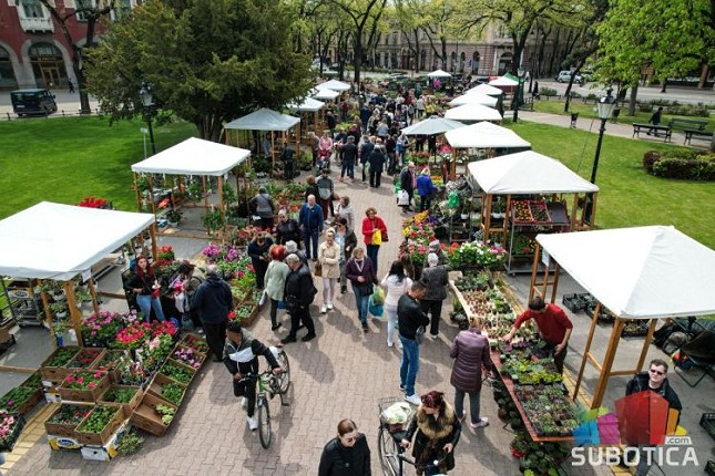 "Procvetao" mali trg