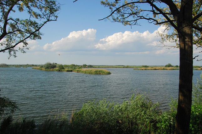 Promo tura za posmatranje ptica na Paliću