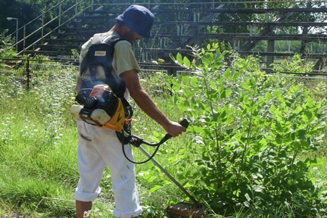 Brza reakcija nadležnih - sređuju se sportski tereni na Paliću