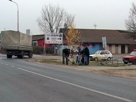 20 sadnica u Malom Bajmoku