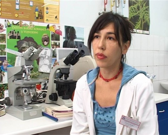 Koncentracija polena ambrozije smanjena