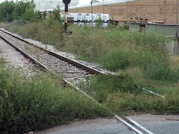 Korov kod javnih skladišta