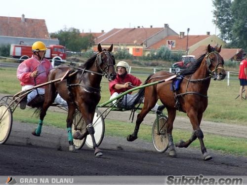 Prvi kasački dan na hipodromu