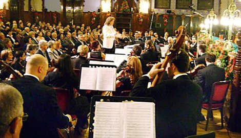 Vojvođanski simfoničari profesionalci