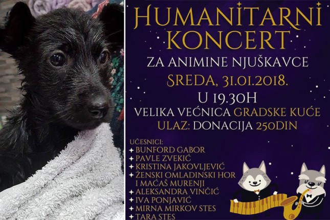 Humanitarni koncert za "Animu"