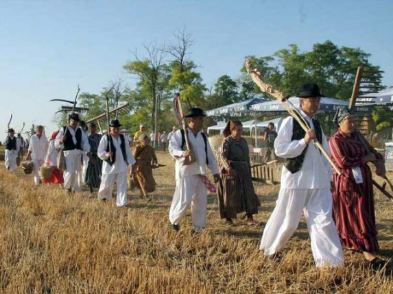 Dužijanca - gradska ili nacionalna manifestacija?
