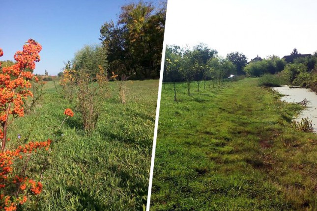 Jasibara ponovo oaza prirode