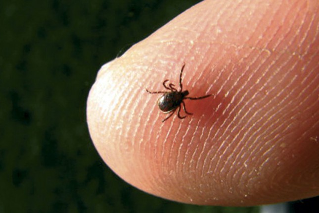 Tretiranje krpelja od 23. do 29. aprila