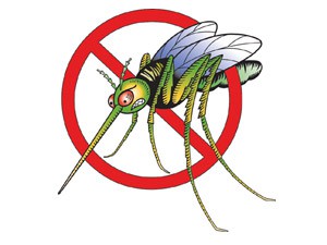 Zaprašivanje komaraca u Subotici i na Paliću