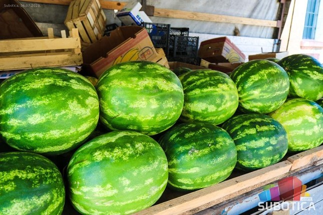 Stižu prve domaće lubenice