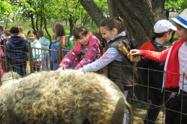 Deca sa asfalta na salašu