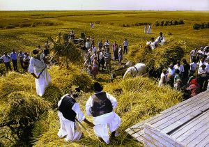 Jedinstvo Bunjevaca na ispitu