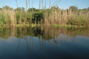 Međunarodni dan vlažnih područja