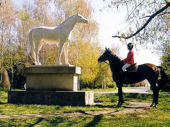 Zobnatica ponovo na konju