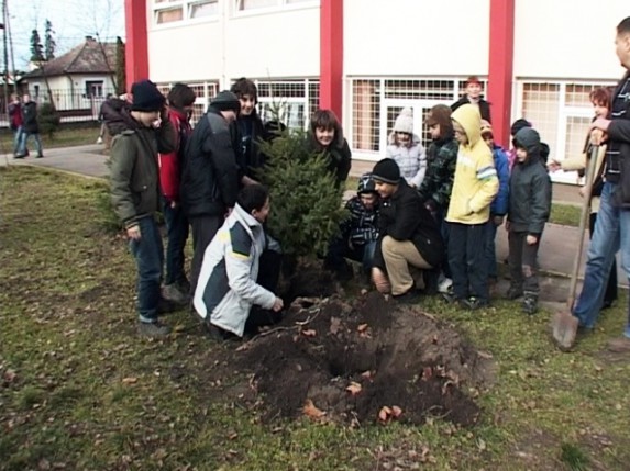 Zasađena jelka u OŠ "Jovan Mikić"