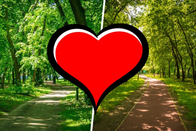 "Festival ljubavi" u subotu u Dudovoj šumi