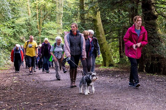 PSK „Spartak“ pokreće novu pešačku aktivnost: „Sa porodicom u prirodi“