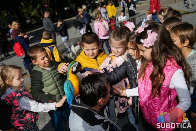 Izložba životinja na Gradskom trgu