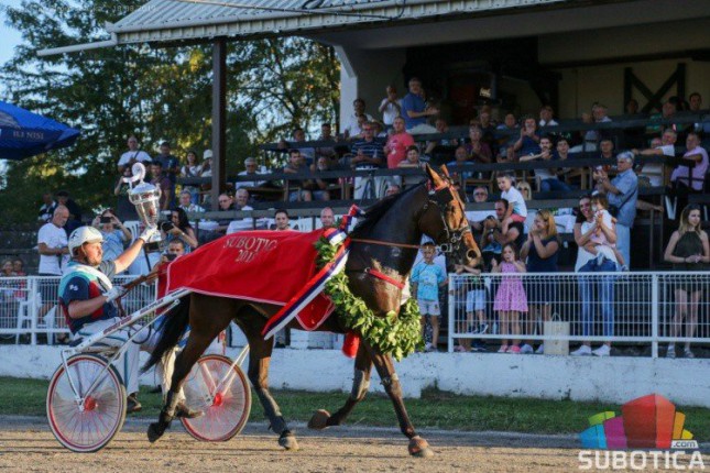 Konjički sport: U nedelju sedmi trkački dan sezone, glavna trka 93. Srpski kasački derbi