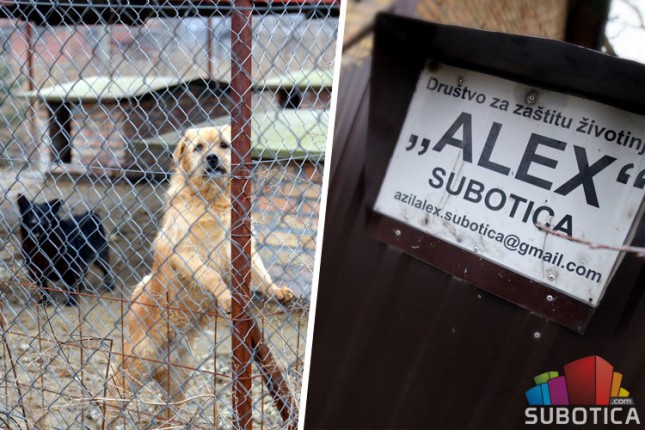 Optužbe na račun azila "Aleks" (ne)osnovane