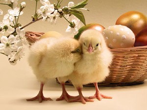 Neradni dani za predstojeće praznike