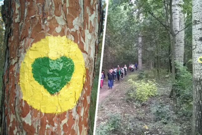 Akcija pešačenja - "Zima u Subotičkoj peščari" u nedelju