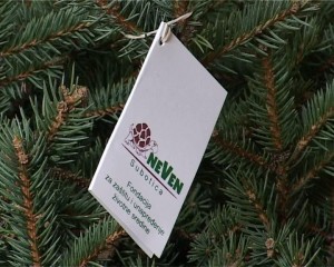 Jelka i za OŠ Sveti Sava