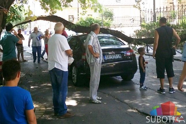 Dva automobila oštećena kada je na njih pala odlomljena grana