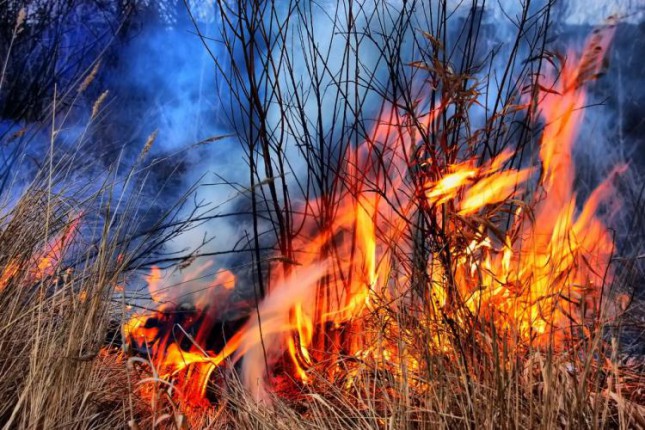 Izbegavati loženje vatre na otvorenom prostoru