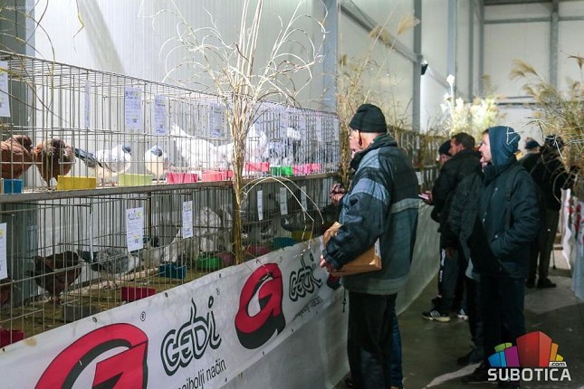 Međunarodna izložba sitnih životinja održana po 38. put