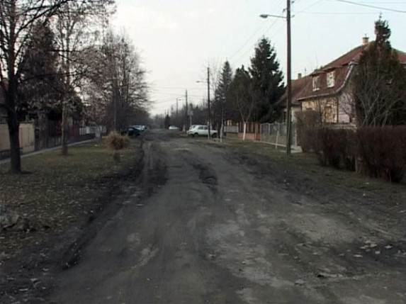 Stanovnici ulice Ferenca Ibolje traže asfalt