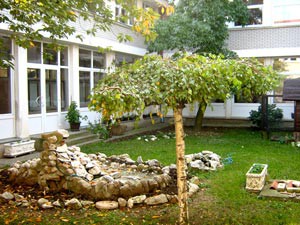 Ispitivanje zagađenosti školskih dvorišta