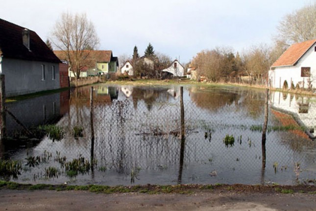 Fekalije po dvorištima
