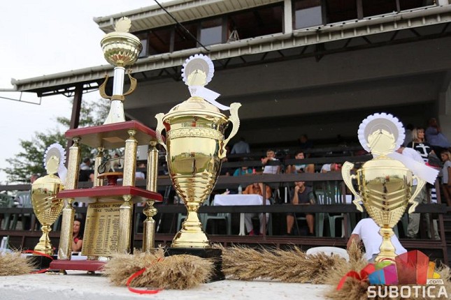Konjičke trke: Bogat kasački program i trka "Dužijanca" za vikend na Gradskom hipodromu