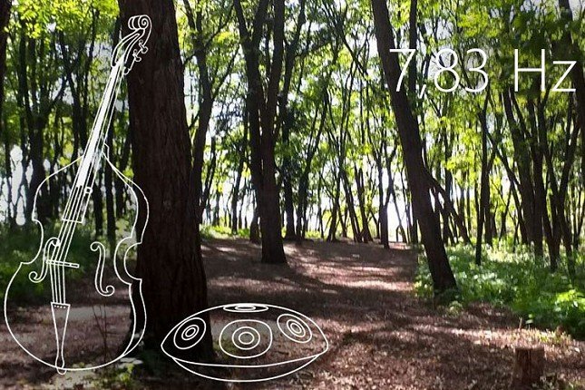 Šetnja kroz šumu uz akustični koncert