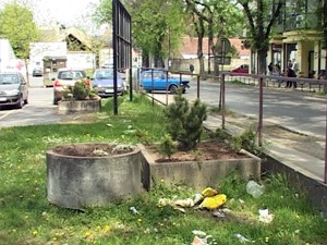 Uništene sadnice u tek uređenim žardinjerama