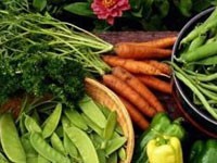 Organska poljoprivreda