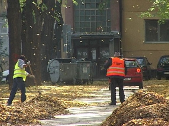 Uklanjanje lišća sa ulica