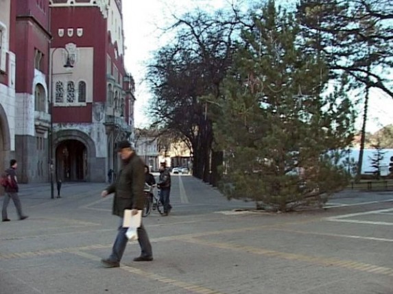 Kupujte jelke sa busenom