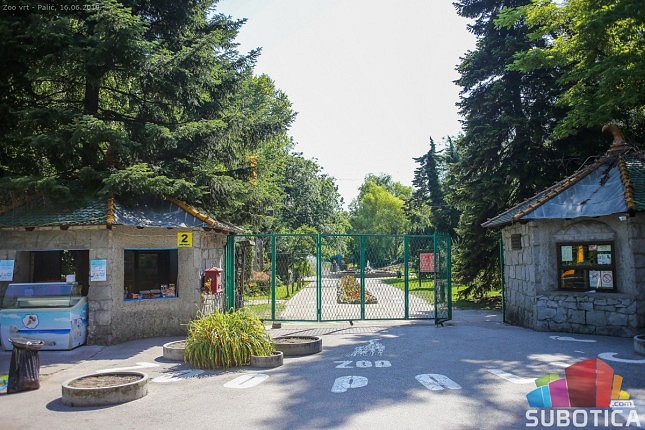 Optužbe o uginućima u Zoo vrtu Palić: Uprava odbacuje navode o nemaru