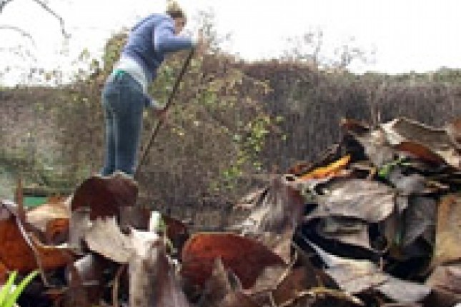 Gimnazijalci - volonteri ZOO vrta