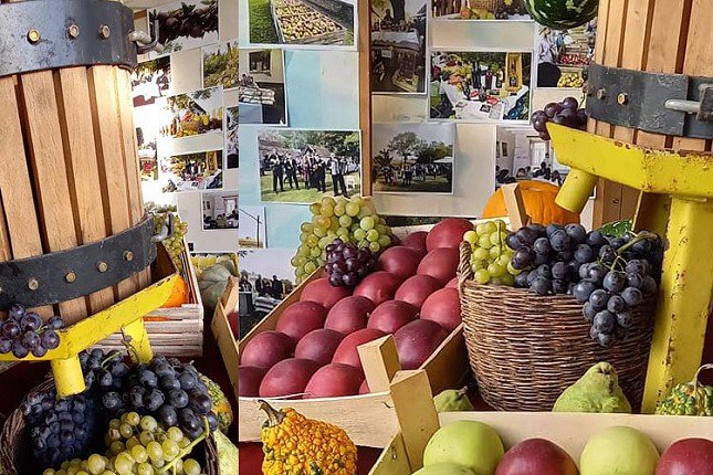 Festival voća u Tavankutu privukao ljubitelje jabuke s peska