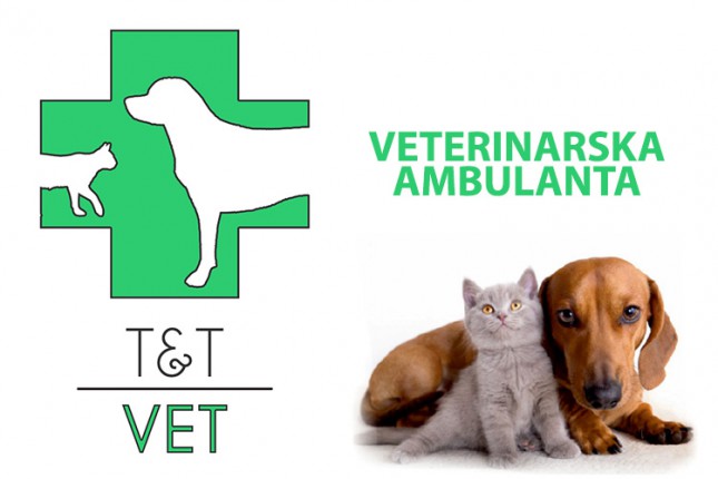 Besplatna sterilizacija mačaka u ambulanti na Paliću