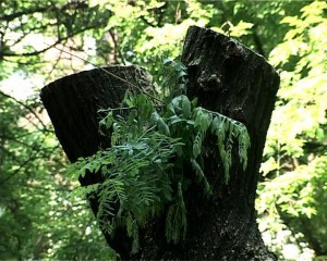 Grana povredila prolaznika