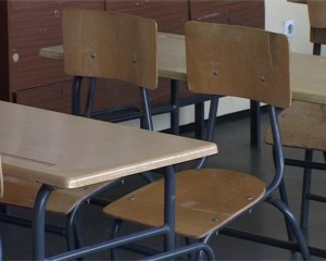 JJ Zmaj: Obrazovanje odraslih